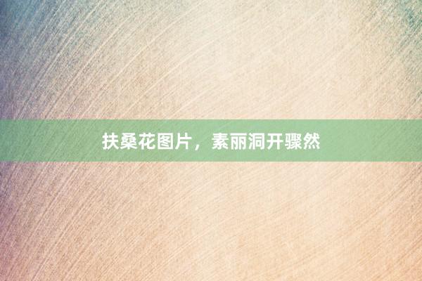 扶桑花图片，素丽洞开骤然