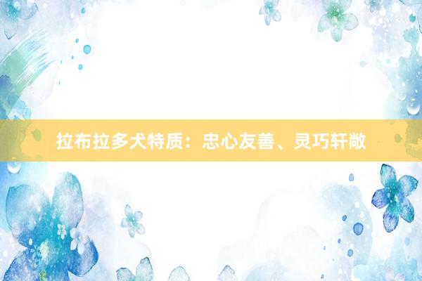拉布拉多犬特质:忠心友善、灵巧轩敞