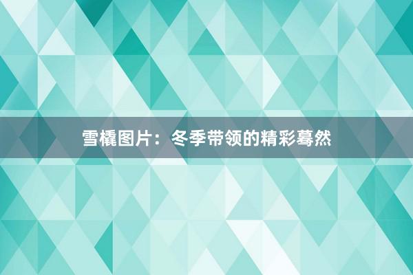 雪橇图片：冬季带领的精彩蓦然
